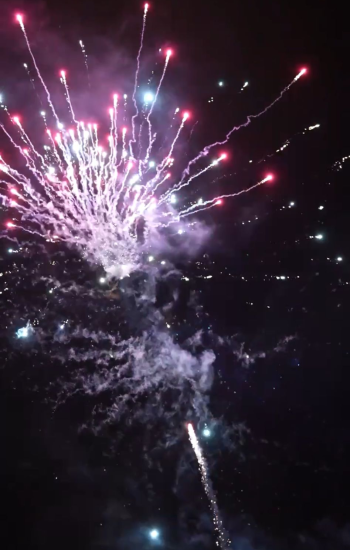 image_2024_11_25T08_54_29_567Z